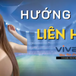 Cách Liên Hệ viva88 Nhanh Chóng