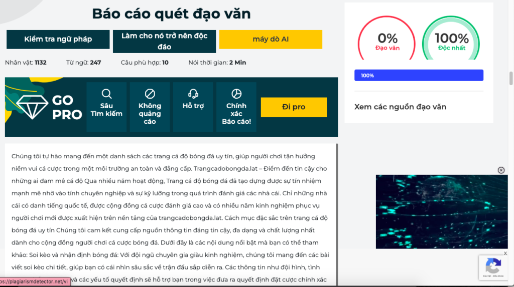 Trangcadobongda.lat – Điểm đến tin cậy cho những ai đam mê cá độ