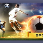 Esport.beauty – Online esports arena for Vietnamese bettors