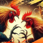 kubet88 Cockfighting – Professional & Reputable Betting Paradise