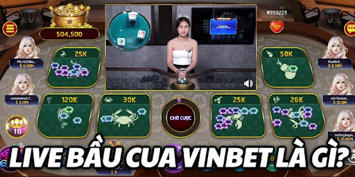 Live Bầu Cua Vinbet – Chân Thực Với Mức Thưởng Hấp Dẫn