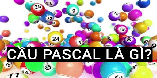 Cầu Pascal Là Gì? Phương Pháp Dự Đoán Thành Công Trong Cá Cược